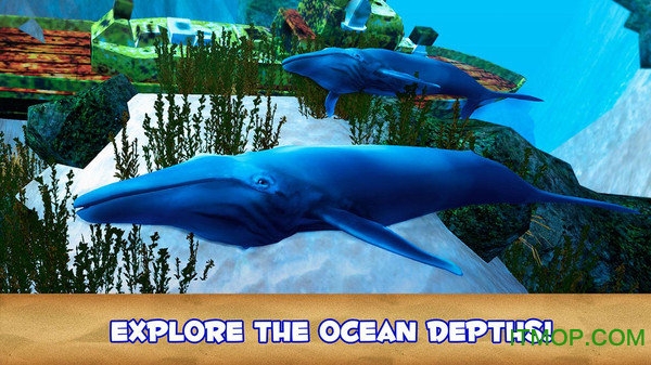蓝鲸安卓版(蓝鲸安卓下载安装)-第2张图片-太平洋在线下载